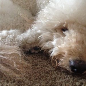 Meet your Posher, Sabrina